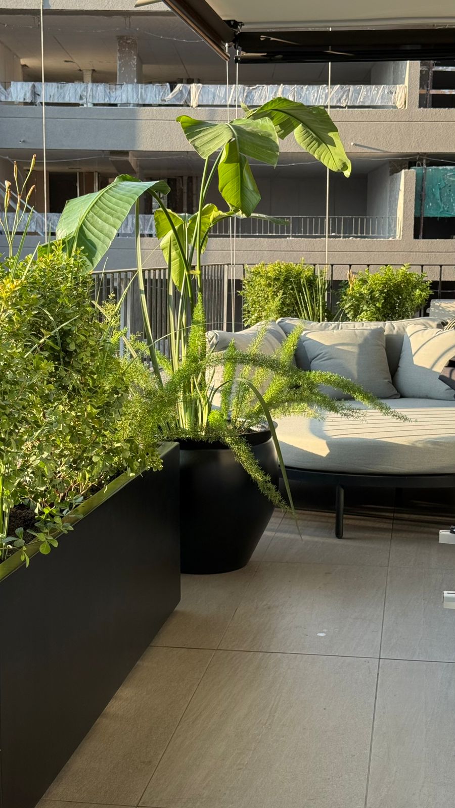 Terraza