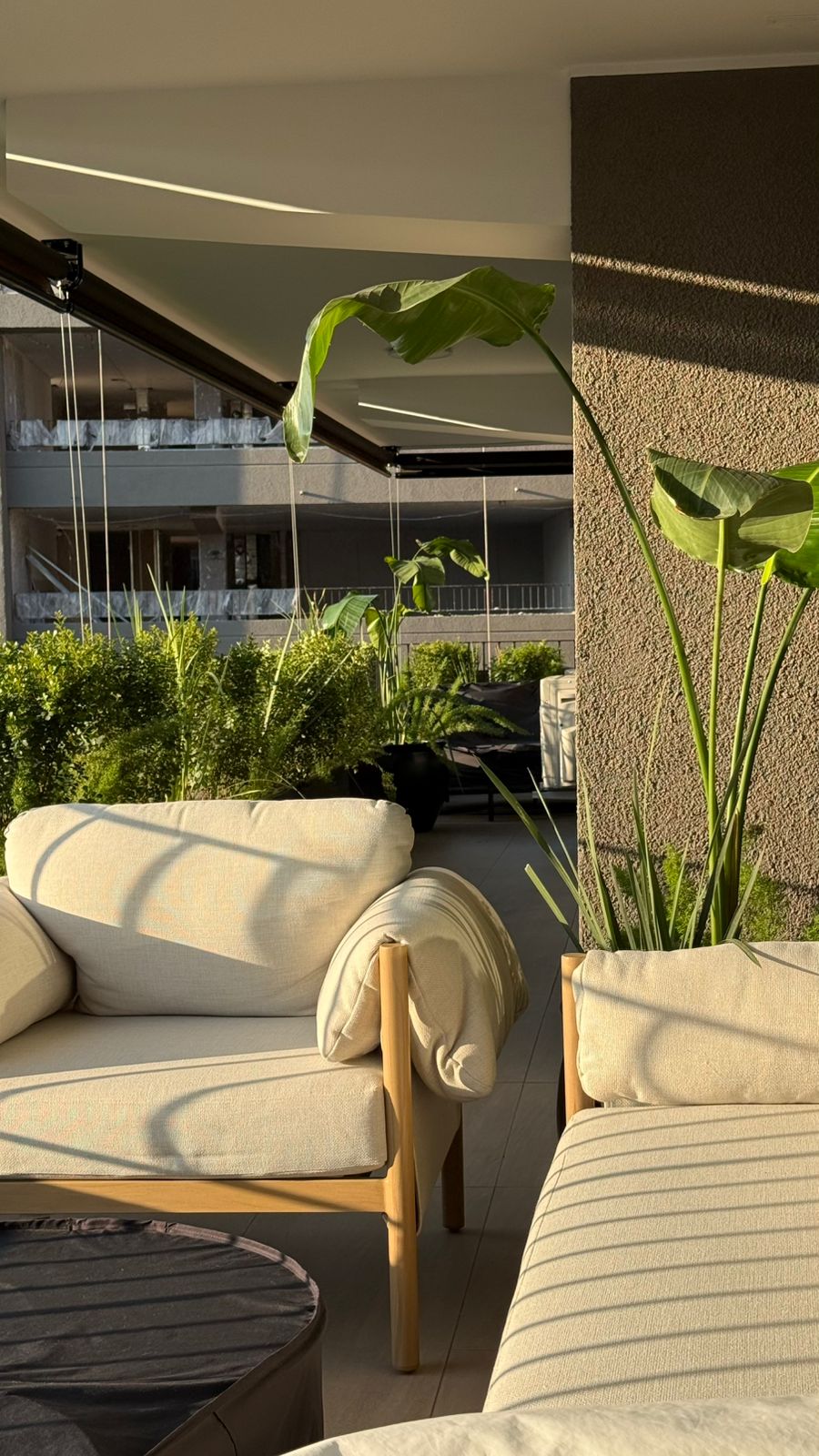 Terraza