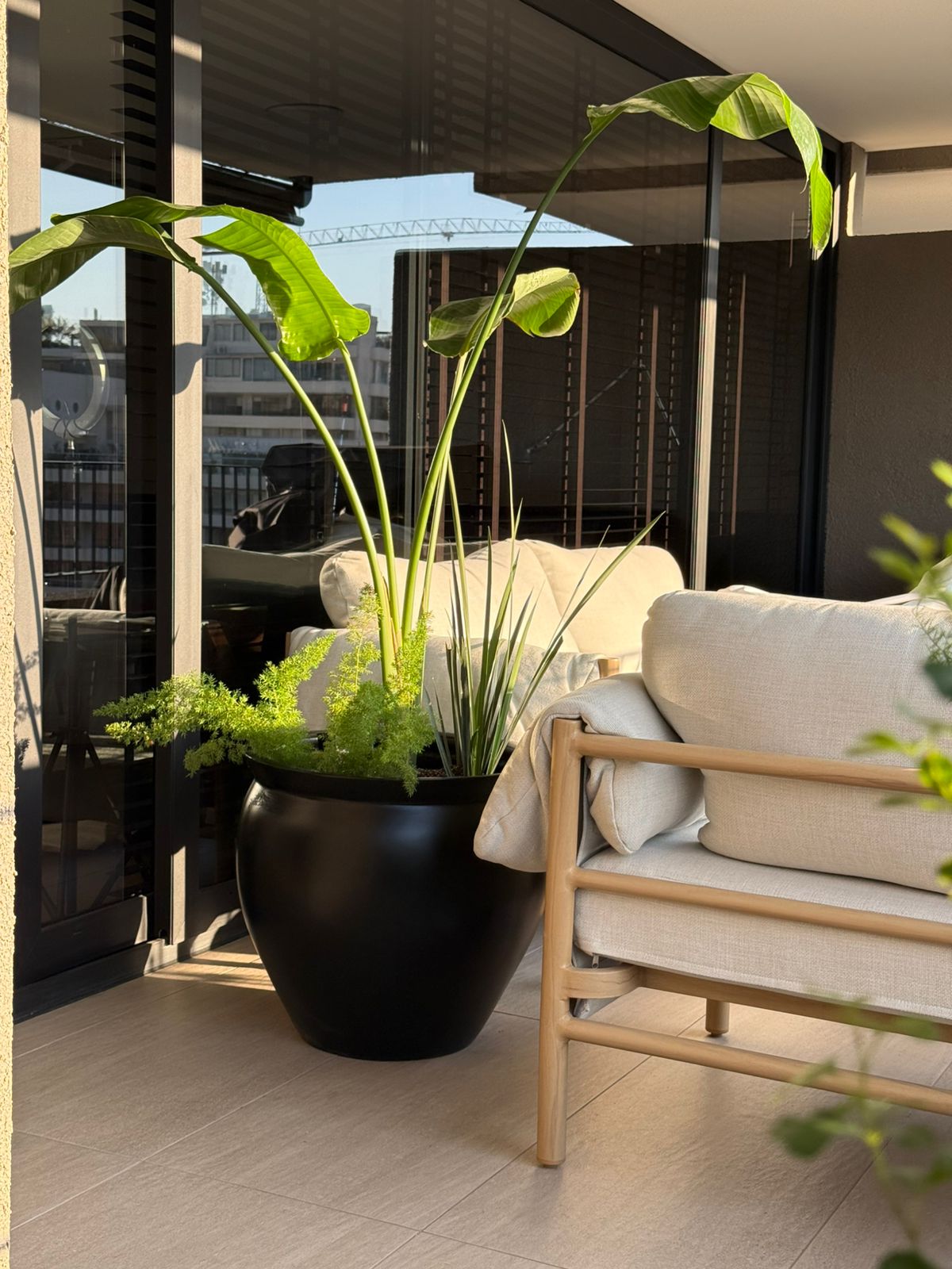 Terraza